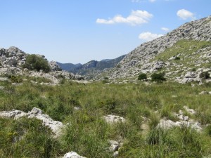 IMG_7008 (Medium)
